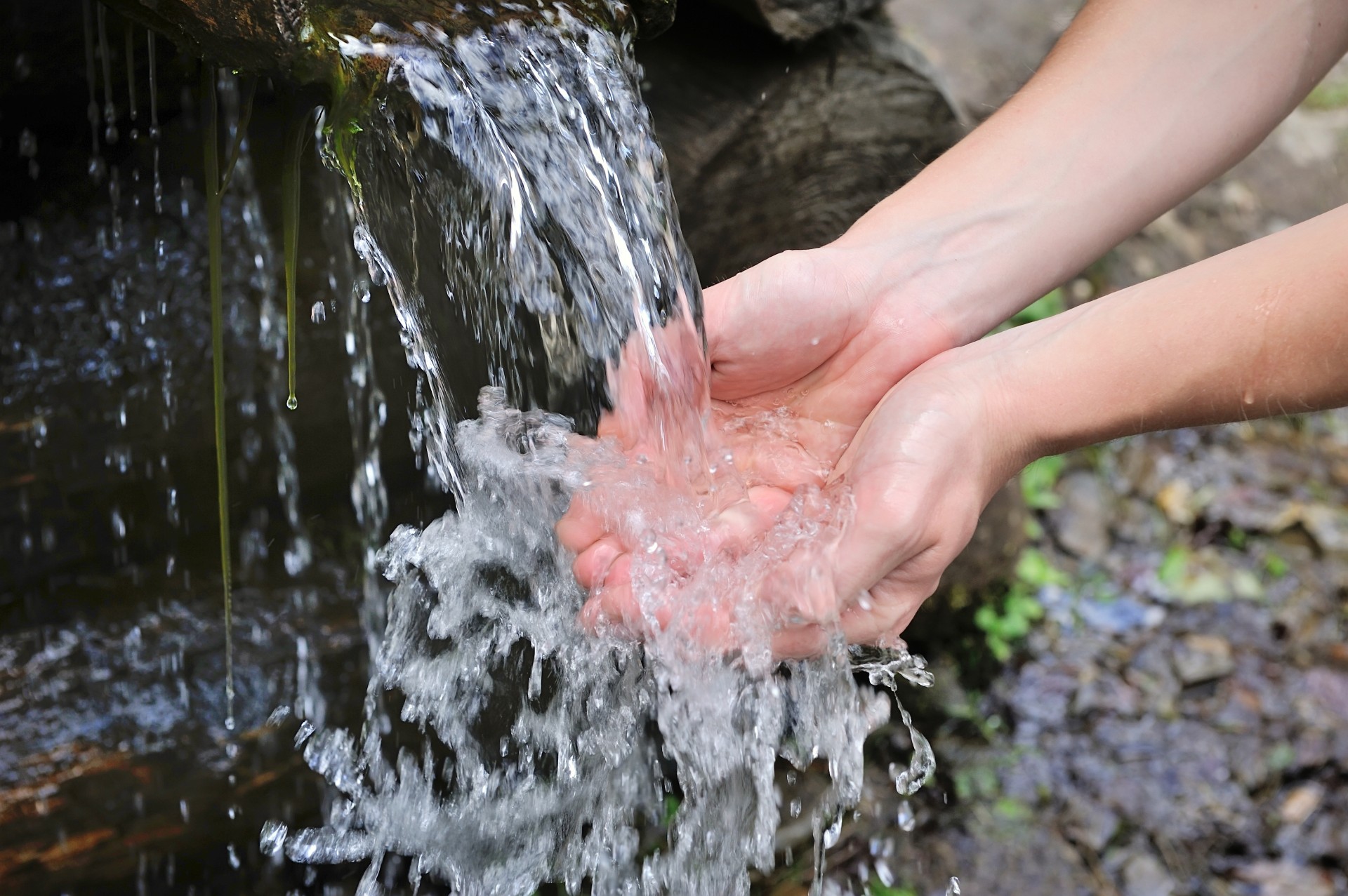 Voda &ndash; izvor života i zdravlja &ndash; Aquaviva